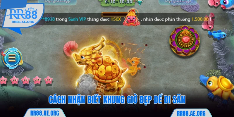 Giờ Vàng Bắn Cá Giúp Bạn Dễ Săn Boss Cực Đại Tại RR88 7 Cách nhận biết khung giờ đẹp để đi săn cá RR88