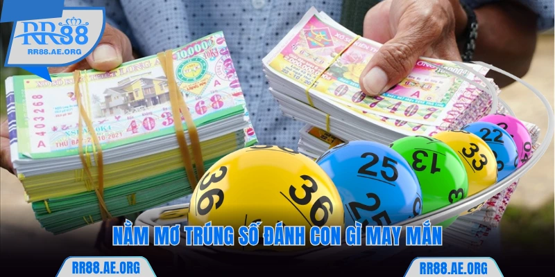 Mơ Trúng Số Đánh Con Gì? Giải Mã Ý Nghĩa Và Con Đề Lộc Lá 5 Nằm mơ trúng số RR88 đánh con gì may mắn